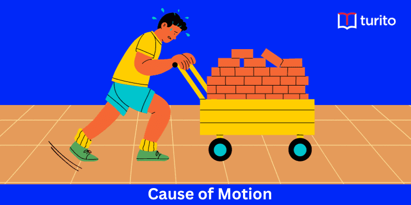 Cause of Motion