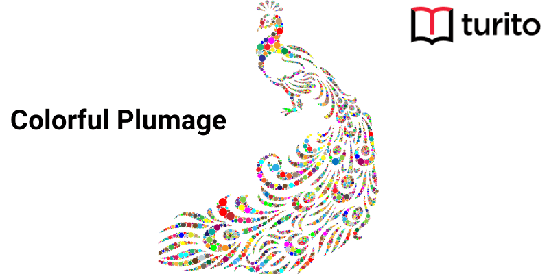 colorful-plumage