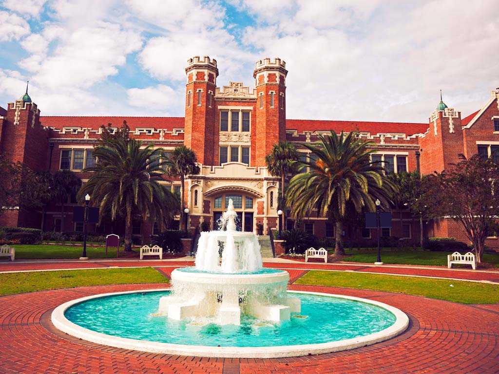 FSU Acceptance Rate and Admission Requirements | Turito