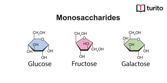 Monosaccharides | Definition, Types, Examples, and FAQs