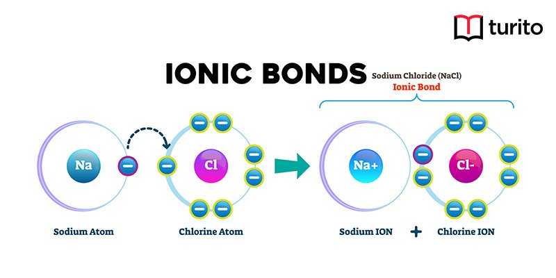 Ionic Bond (electronegativity): Diagram And Examples