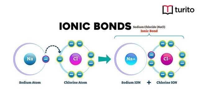 Ionic Bond (Electronegativity): Diagram and Examples