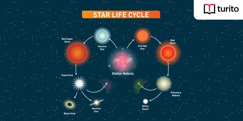 Life Cycle Of A Star Major Stages Of A Star Turito