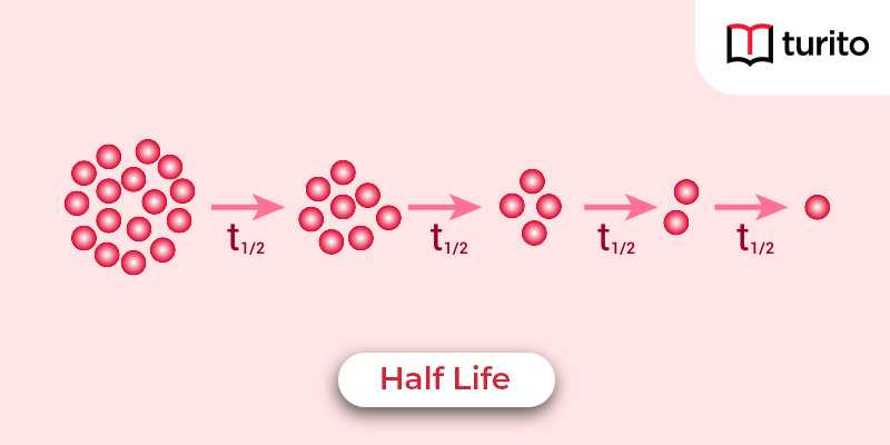 half life equation algebra