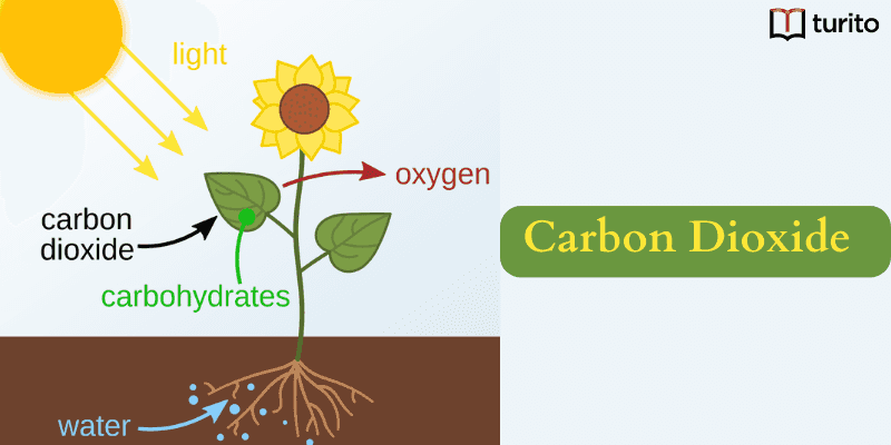 Carbon Dioxide Definition Properties And Climate Impact 7853