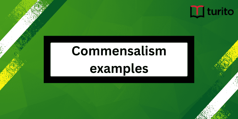 Commensalism