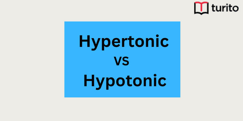 Hypertonic vs Hypotonic