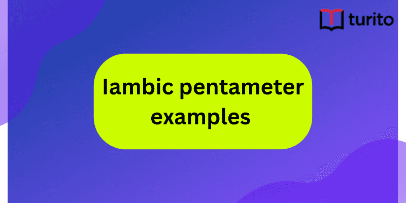 Iambic Pentameter