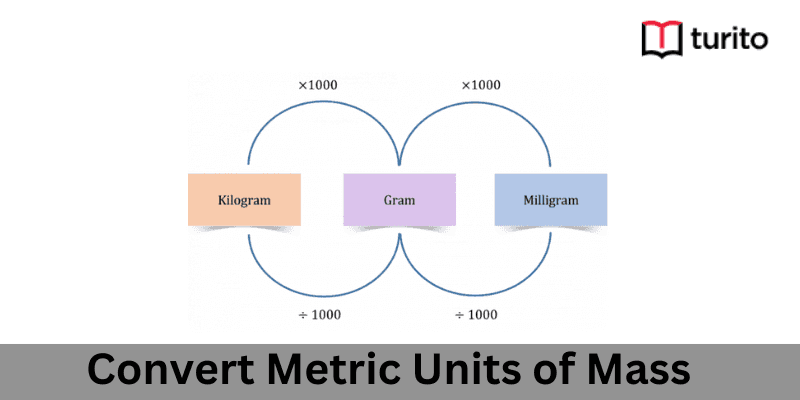 Convert Metric Units of Mass