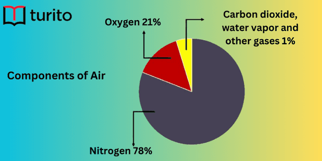 components-of-air-explanation-observation-and-activity