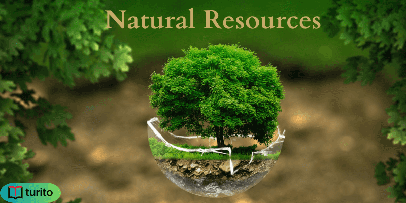 Natural Resources: Depletion and Prevention | Turito